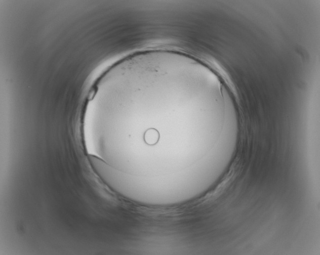 X0000113111336200910091152