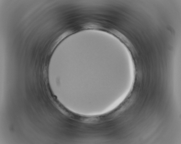 X0000113111337200910091152