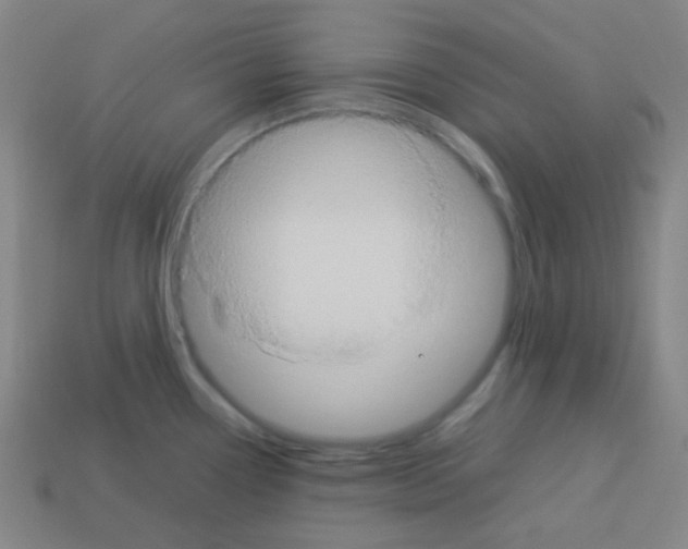 X0000113111338200910091152