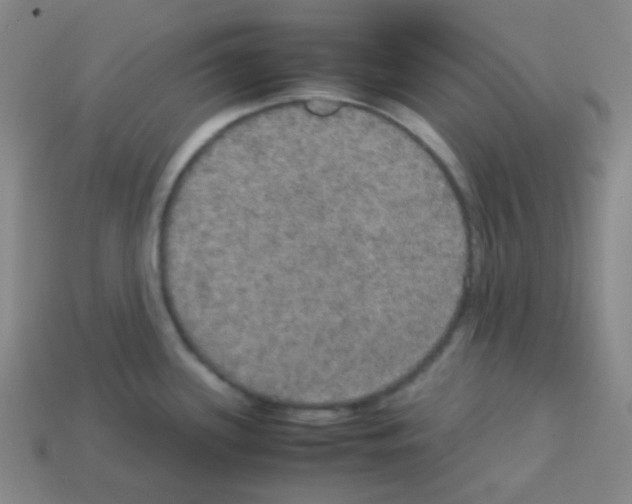 X0000113111339200910091152