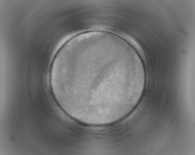 X0000113111340200910091152