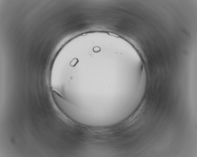 X0000113111342200910091152