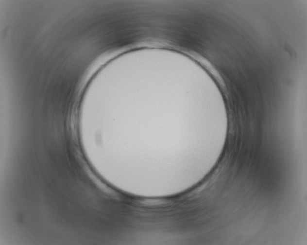 X0000113111343200910091152