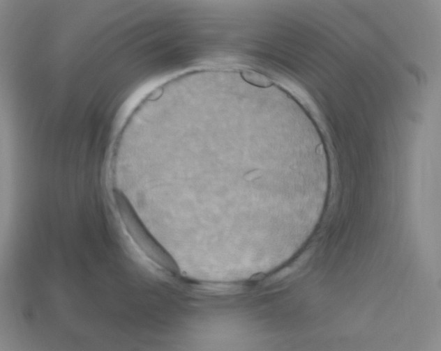 X0000113111344200910091152