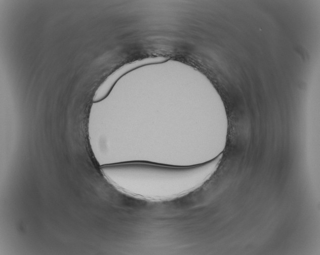 X0000113111345200910091151