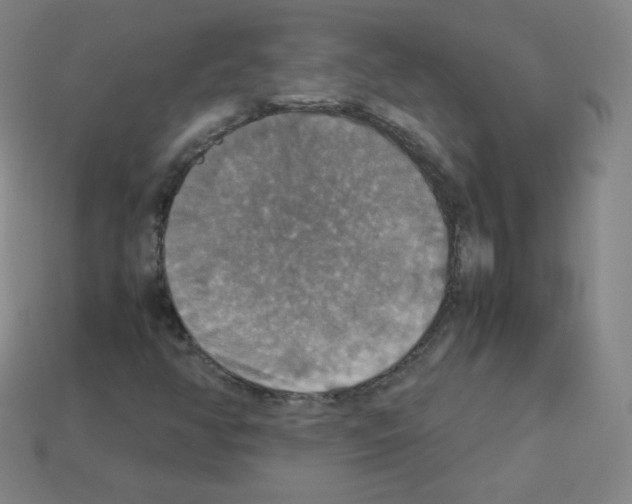 X0000113111350200910091151