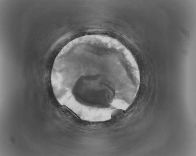 X0000113111351200910091151