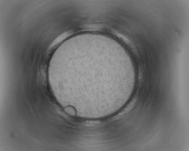 X0000113111354200910091151