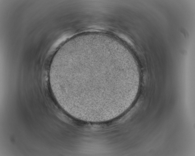 X0000113111355200910091151