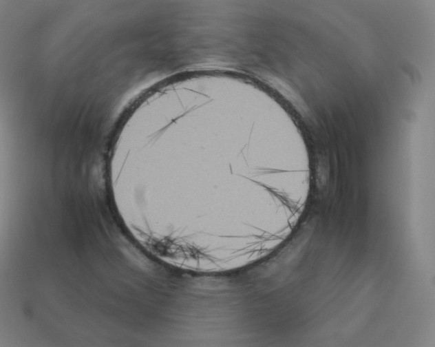 X0000113111356200910091151
