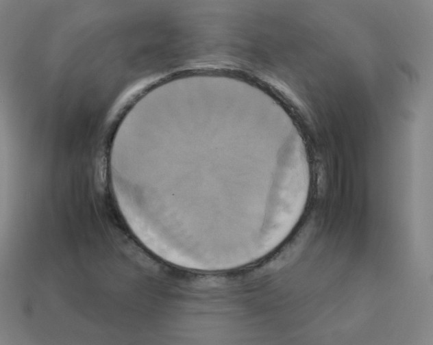 X0000113111358200910091151