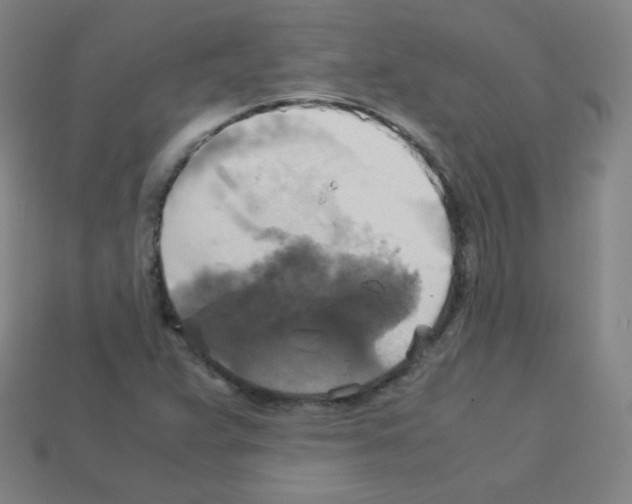 X0000113111359200910091151