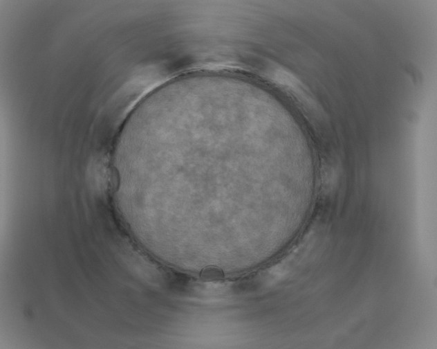 X0000113111361200910091151