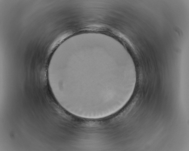 X0000113111362200910091151