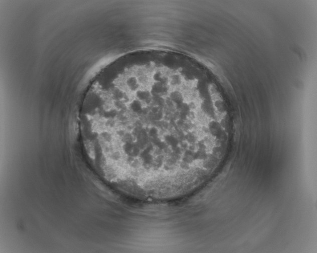 X0000113111363200910091151