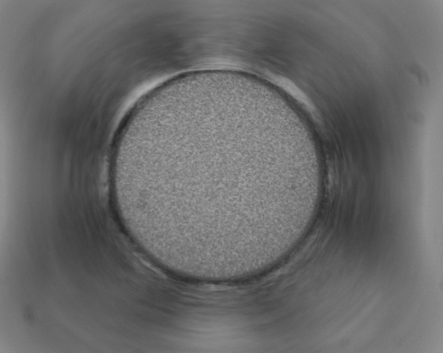 X0000113111364200910091151