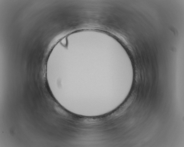 X0000113111366200910091151