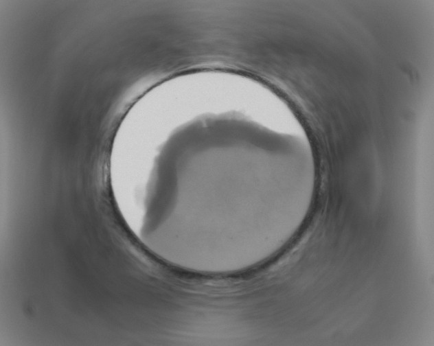 X0000113111367200910091151