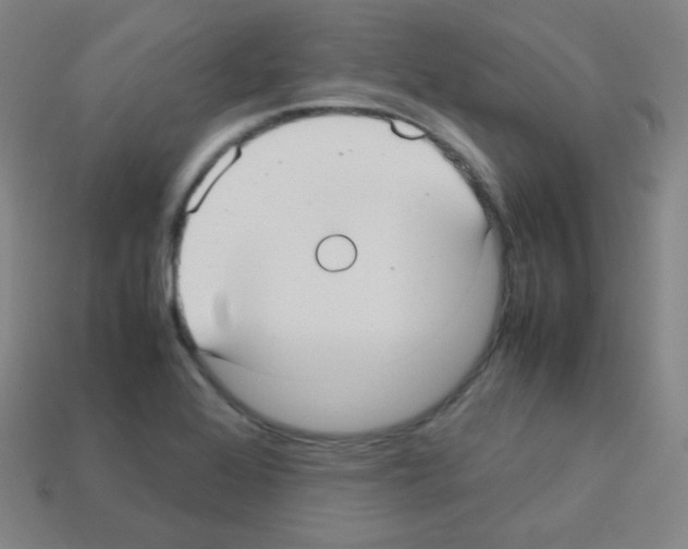 X0000113111368200910091151