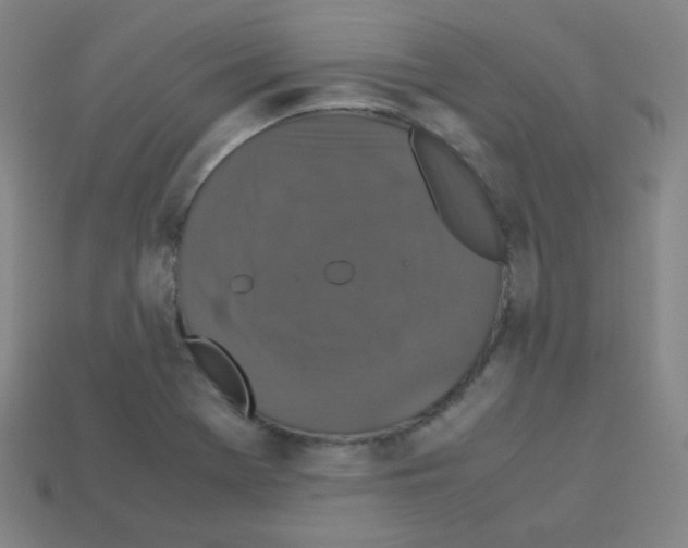 X0000113111369200910091151