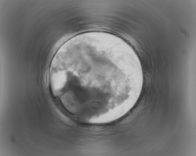 X0000113111371200910091151