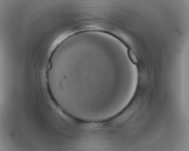 X0000113111373200910091151