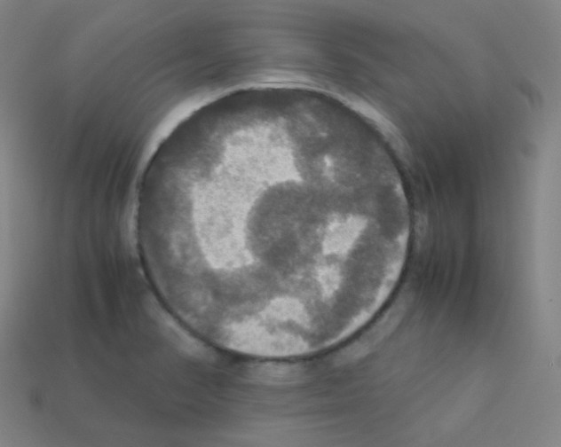X0000113111374200910091151