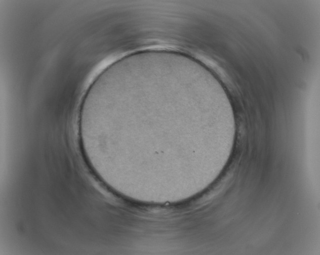X0000113111375200910091151