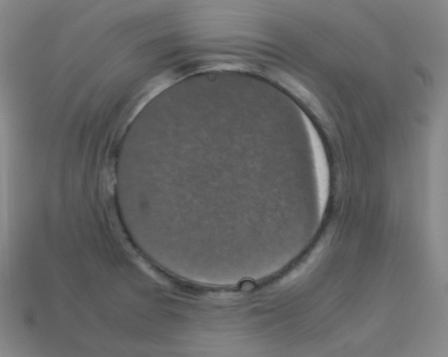 X0000113111377200910091151