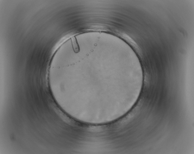 X0000113111378200910091151