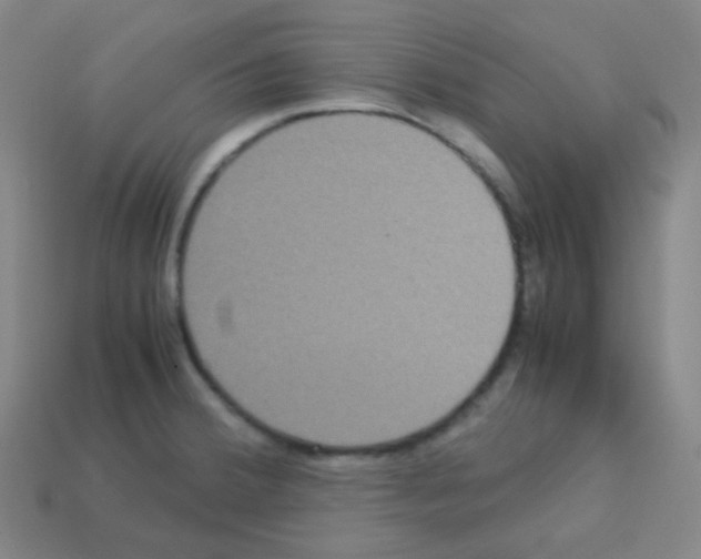 X0000113111380200910091151