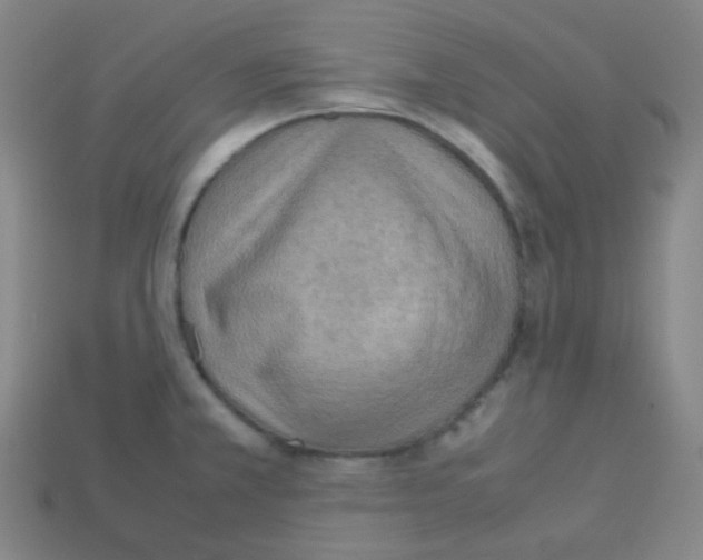 X0000113111381200910091151