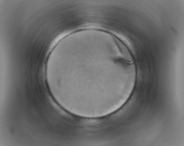 X0000113111382200910091151