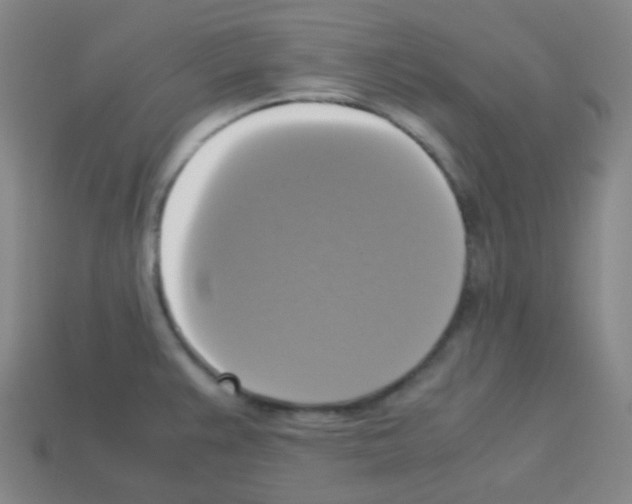 X0000113111383200910091151