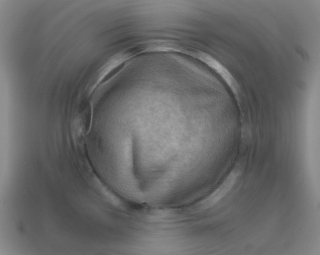 X0000113111385200910091151