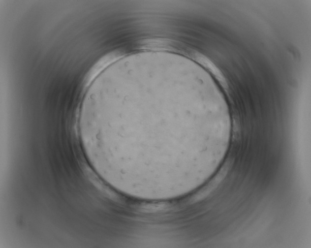 X0000113111386200910091151