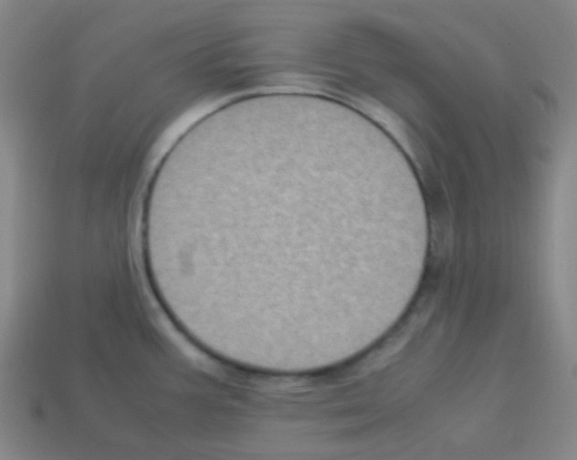 X0000113111387200910091151