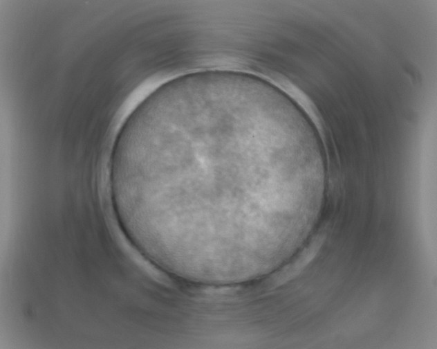 X0000113111389200910091150