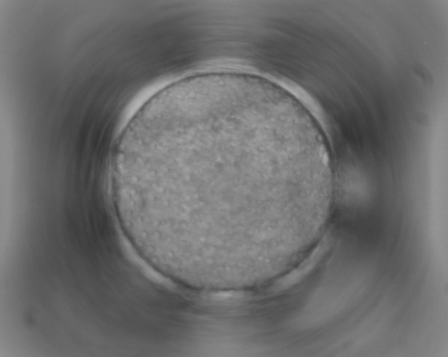 X0000113111390200910091150