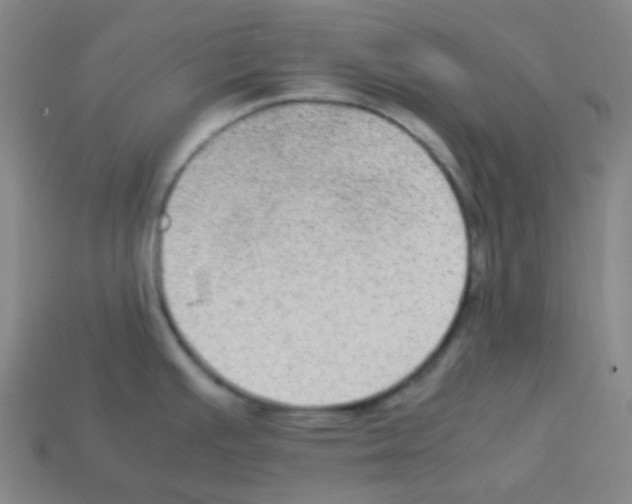 X0000113111391200910091150