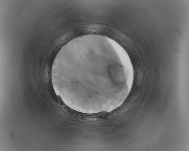 X0000113111394200910091150