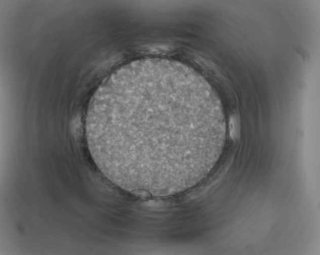 X0000113111395200910091150