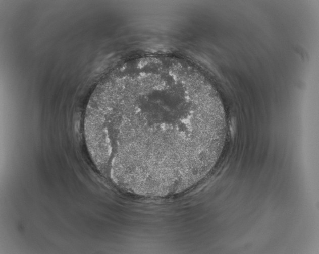 X0000113111396200910091150
