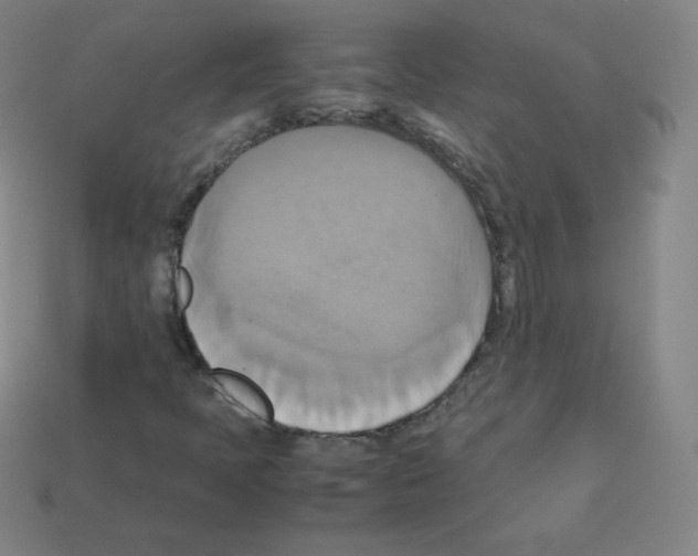 X0000113111397200910091150