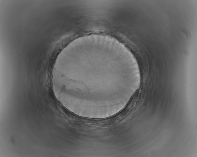 X0000113111398200910091150