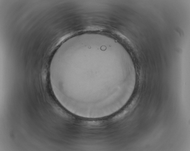 X0000113111401200910091150