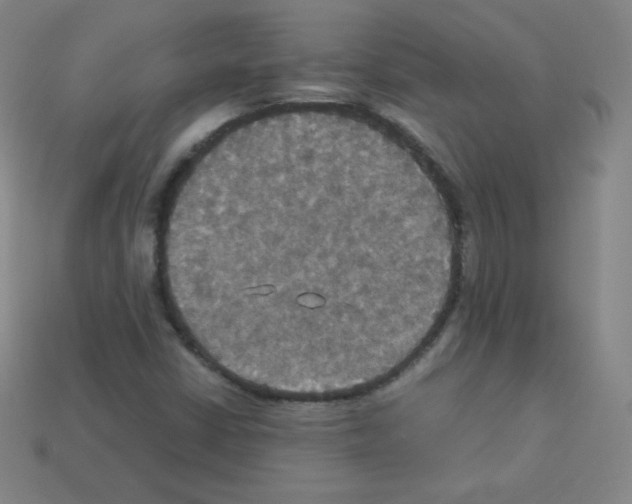 X0000113111402200910091150