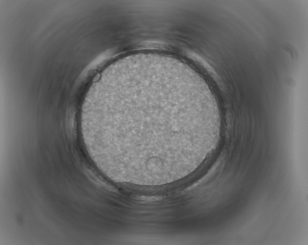 X0000113111403200910091150