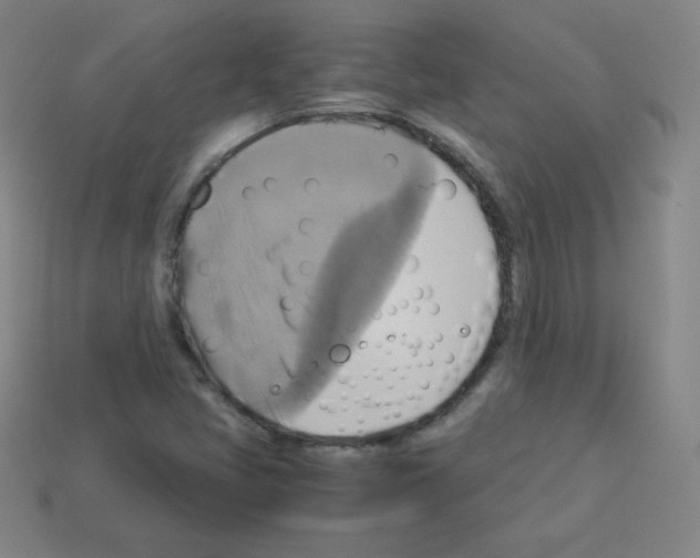 X0000113111405200910091150