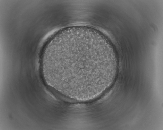 X0000113111406200910091150